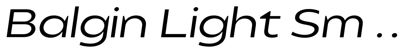 Balgin Light Sm Expanded Italic
